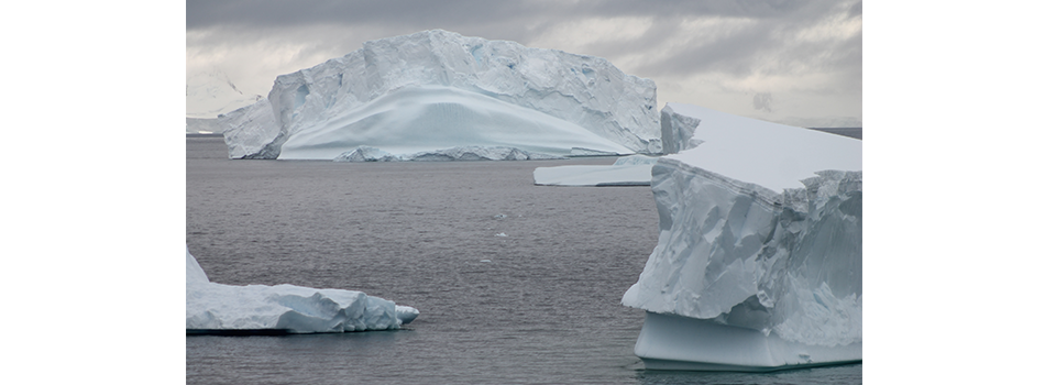 Icebergs - Alaska